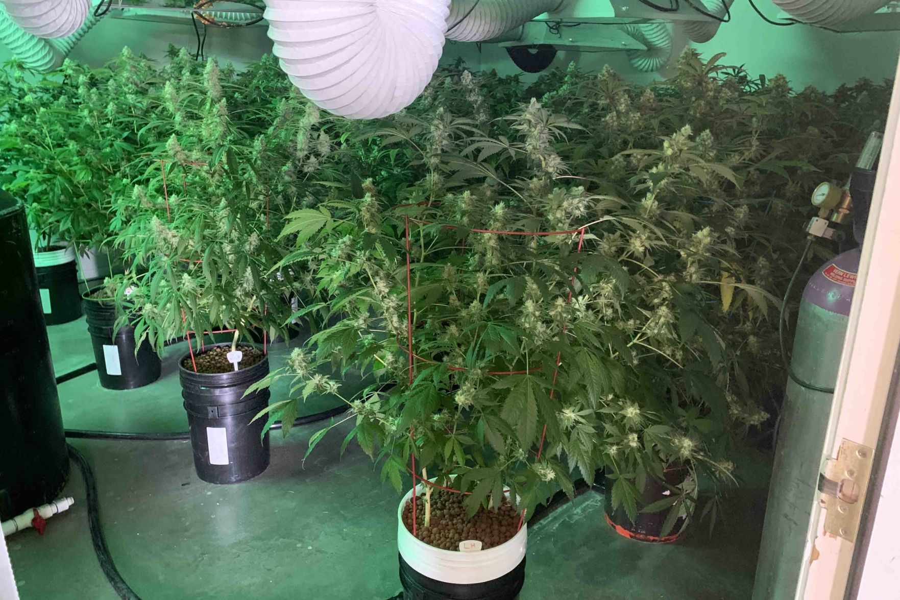 Maricopa County Sheriff’s Office Drug Bust